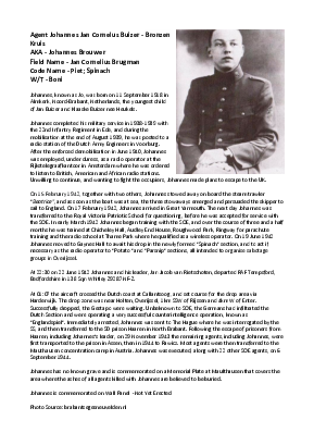 A preview of a PDF biography for Buizer, Johannes Jan Cornelus